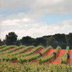 La Rioja del Vino
